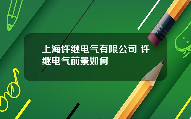 上海许继电气有限公司 许继电气前景如何